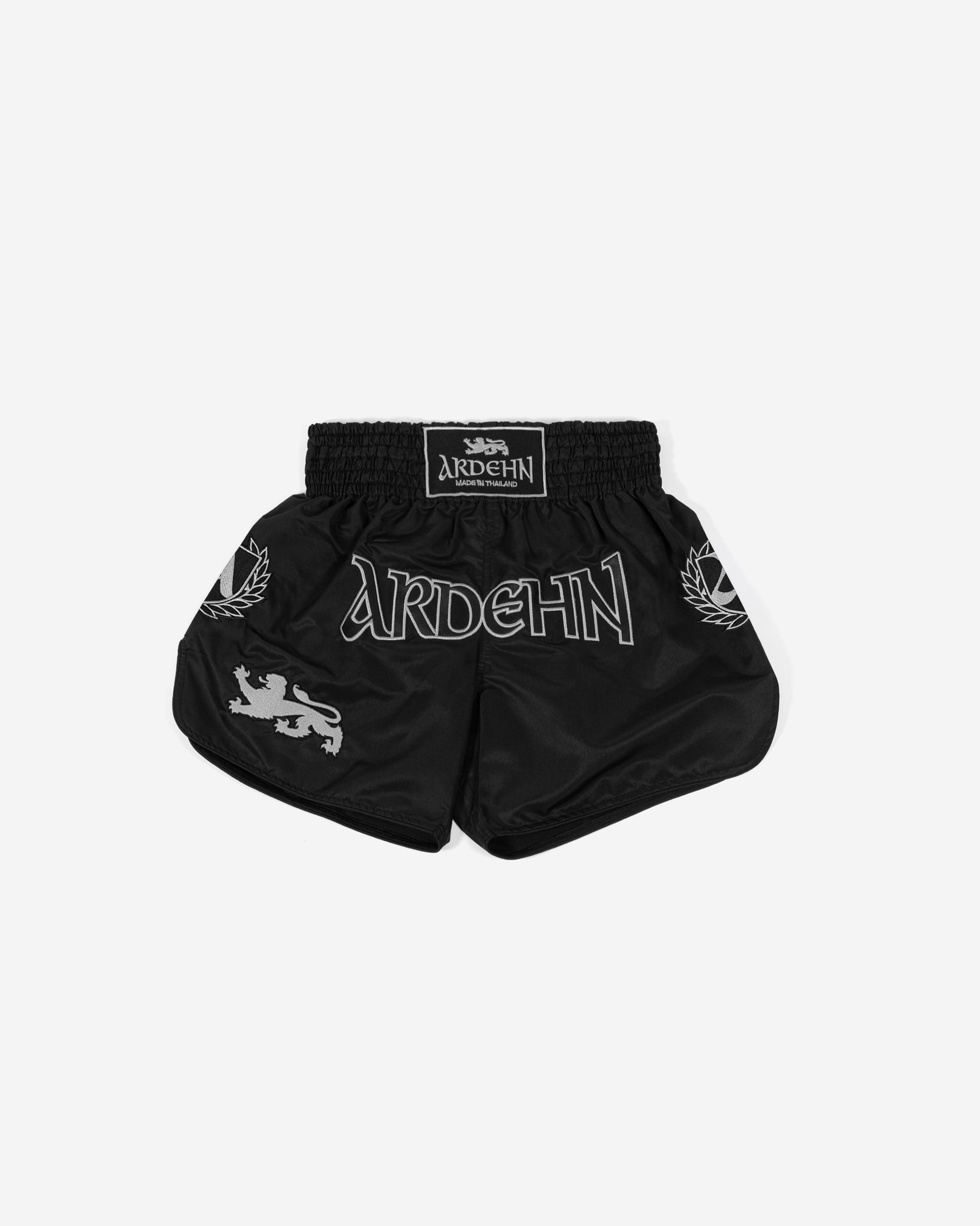 Ardehn Fighter